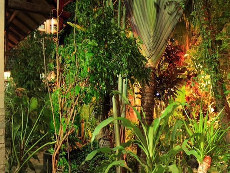 Arys Garden Hotel Yogyakarta Exteriör bild